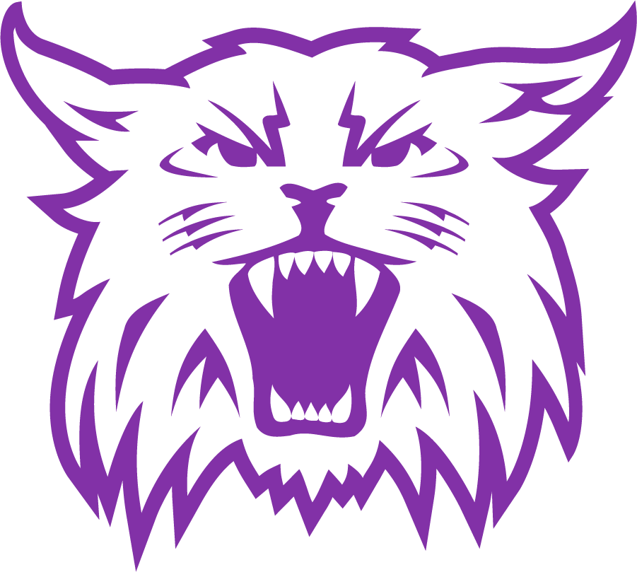 Weber State Wildcats 2008-2012 Secondary Logo iron on transfers for T-shirts